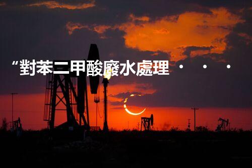 “對苯二甲酸廢水處理，綠色創(chuàng)新引領(lǐng)環(huán)保新篇章”